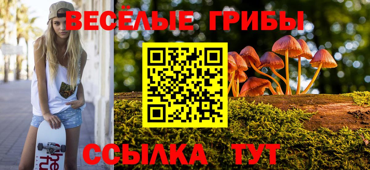 Тверь  Галлюциногенные грибы мицелий  Вход с VPN 