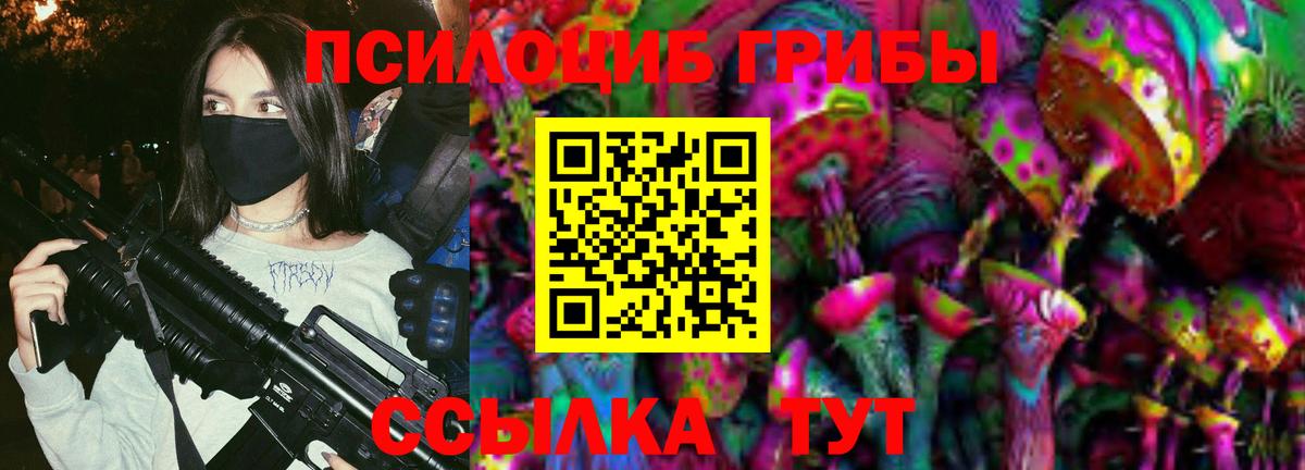 Псилоцибиновые грибы GOLDEN TEACHER Тверь